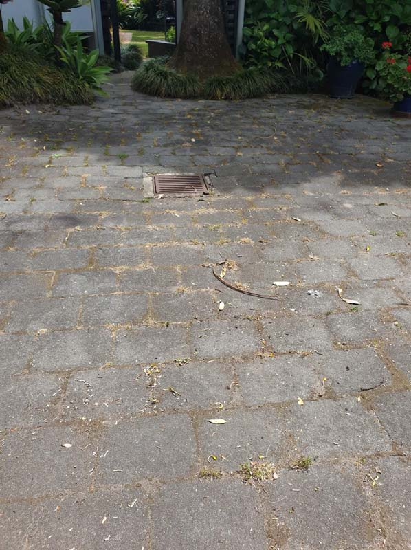 driveway-concrete-cleaning-before