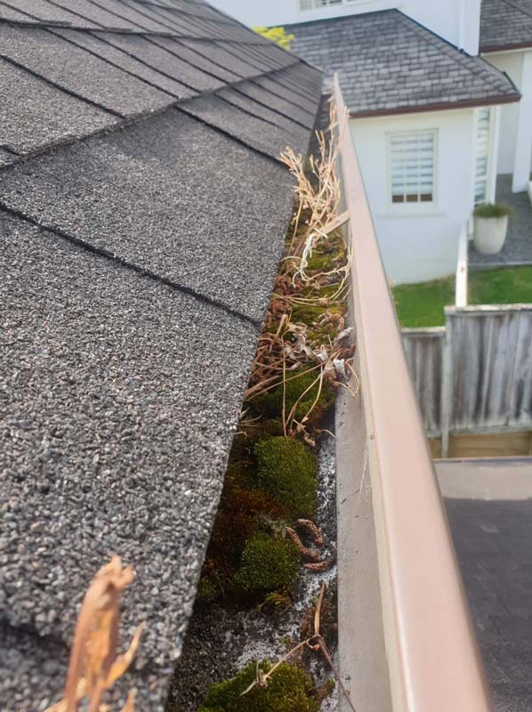 gutter-cleaning-repair-before