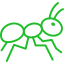 ant